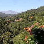Nel *