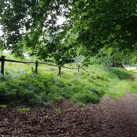 Daire Nel Mosso Santa Maria