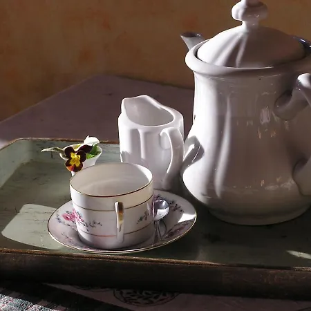 Nel * Mosso Santa Maria