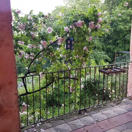 Nel Verde * Mosso Santa Maria